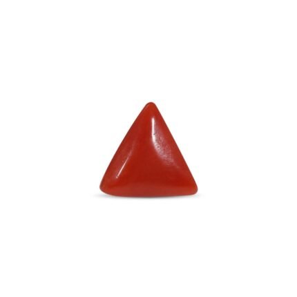 Red Coral - 1.5 Carat